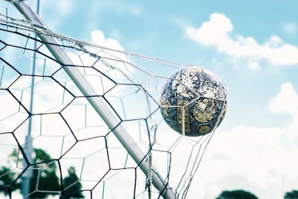 Ball im Tor
